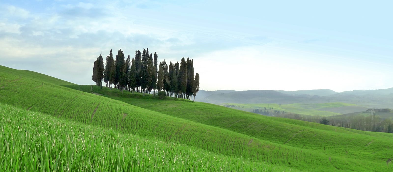What to see in the surroundings of Agriturismo Pratovalle near Cortona